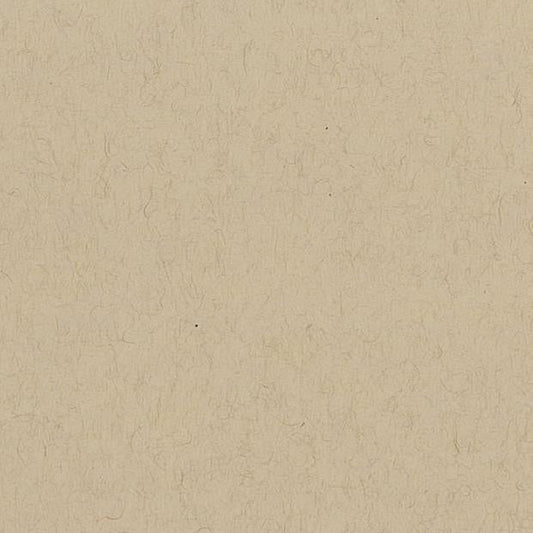 Mixed Media Paper, Tan (light brown) - Strathmore ... Size is 11"x14" (27.9cm x 35.6cm), Vellum Surface, heavyweight 300gsm paper, 15 sheets.  Strathmore Artist Mixed Media Paper is an excellent quality, light brown tan paper that features a durable, heavyweight, smooth, strong vellum surface that is ideal for a wide variety of wet and dry creative techniques. The paper is solid tan through the core (it is not coated) with a smooth matte finish. Macro photo of the paper colour showing fibres.