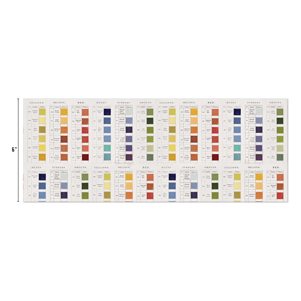 Tim Holtz Idea-Ology Collage Tissue Paper - Palette - 6 inch wide roll