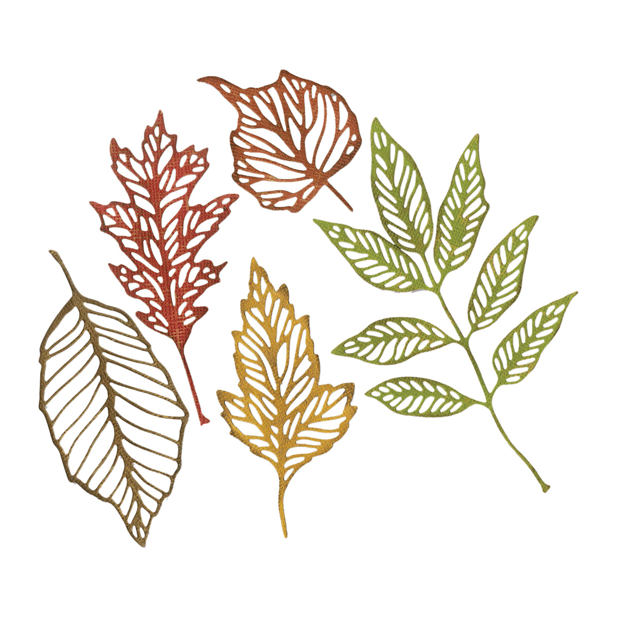 Skeleton Leaves - Sizzix Thinlits die cutting templates by Tim Holtz. Autumn leaves after they've been dropped on the ground for a while ... beautiful leafy designs to cut out of paper, cardstock, lightweight fabric and more for journaling, bookmaking, papercrafts, visual arts and scrapbooking. 5 (five) templates in total (no.663094). Use these beautiful detailed leaves which have their veins showing on tags, labels, banners, tickets, stationery pieces, journal fodder, junk journal pages, scrapbooking pages