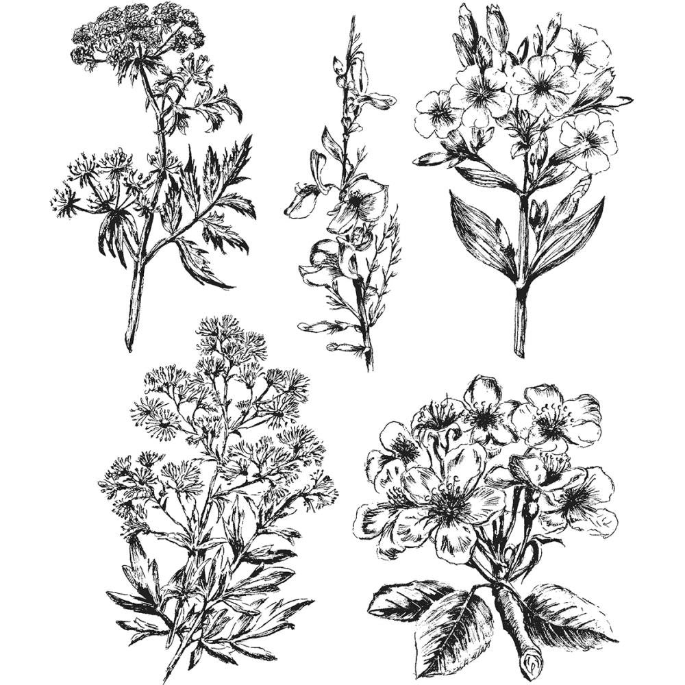 Tim Holtz illustrated garden stamp set