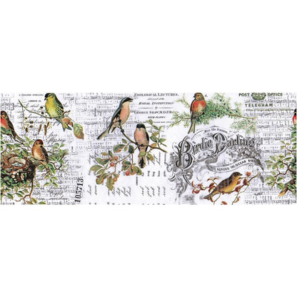 Aviary - Collage Tissue Paper by Tim Holtz Idea-Ology. 6" wide roll, 6 yards long fine tissue paper printed with beautiful small birds on a background of text and foliage.  This gorgeous tissue collage paper includes colourful birds (small birds like robins) perched on branches and foliage, some with a nest, printed over a background of text and labels. Photograph of the repeat design.