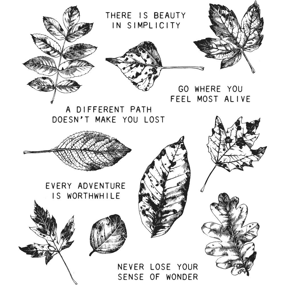 Nature's Wonder ... Cling Rubber Stamp Set by Tim Holtz - 14 designs including 5 (five) positive quotes and 9 (nine) beautiful leaves (CMS343). This set features thoughtful quotes and images of lifelike leaves from different species of tress including maple, elm, oak and others. All are so beautifully detailed and realistic. Designed by Tim Holtz, made by Stampers Anonymous.