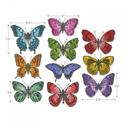 Sizzix Butterfly Die Set by Tim Holtz - image showing the measurements. Flutter - Framelits Die Cutting Templates ... by Tim Holtz and Sizzix (662269).  Create a gorgeous flock of butterflies using this very well designed set of die cutting templates. Matches the Tim Holtz Stamp Set, 'Flutter' (cms294, also available, sold separately).  They cut out the winged creatures and their tiny antennae with precision and ease, and if you have the matching stamp set , you'll save hours of fussy cutting.