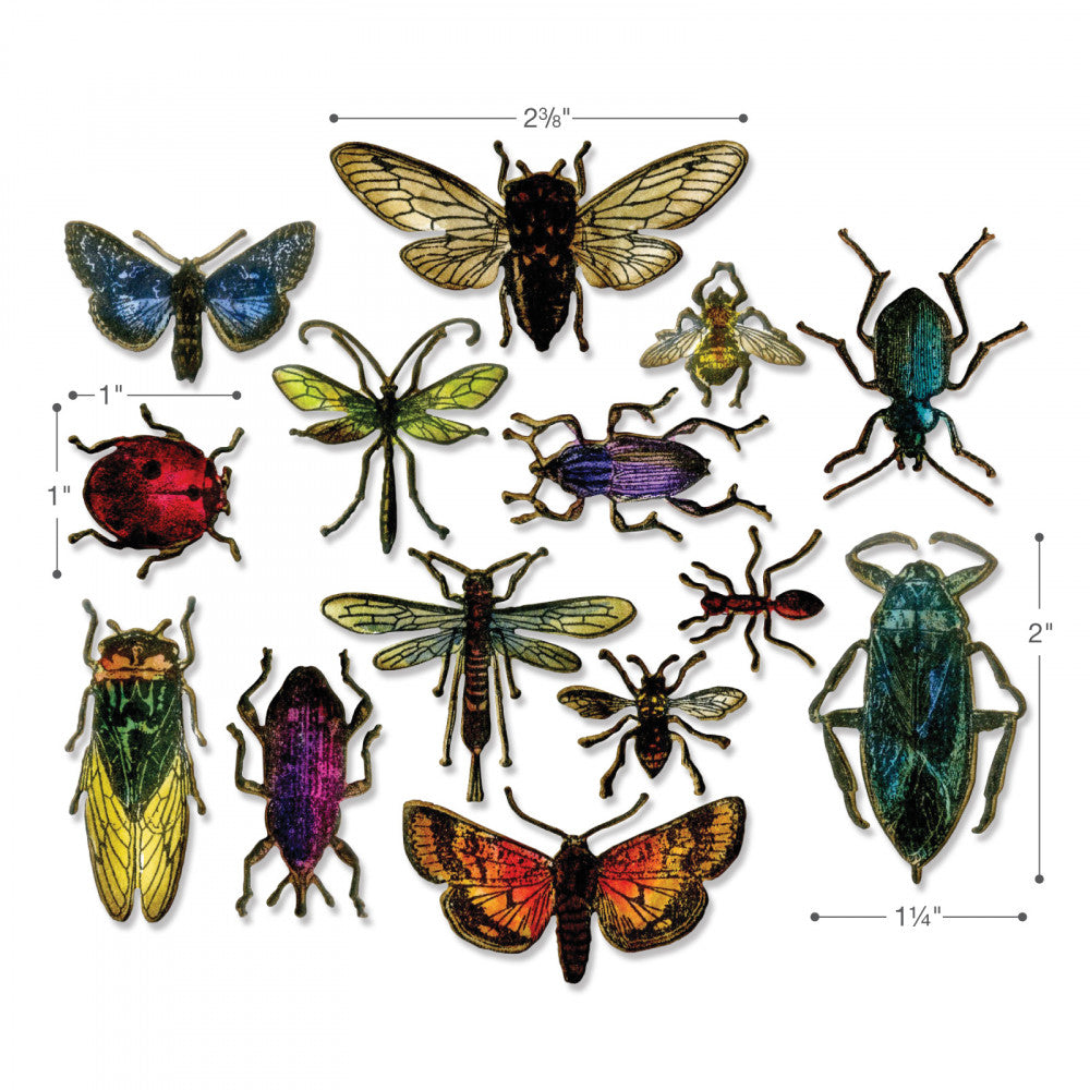 Sizes of Entomology ... by Tim Holtz - Sizzix Framelits Die Cutting Templates (no. 663068) featuring 14 (fourteen) different species of flying and crawling insects.   This set of chemical-etched thin metal dies are designed to cut out the coordinating stamp set from Tim Holtz called Entomology (cms328, sold separately) easily with precision.   The die set includes 14 pieces - insects include cicada, moth, beetles, an ant, wasp, bees, ladybug (lady beetle) and more.