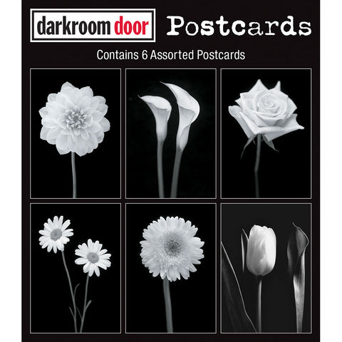 Darkroom Door Postcards - Viva La Flora - 6 Cards