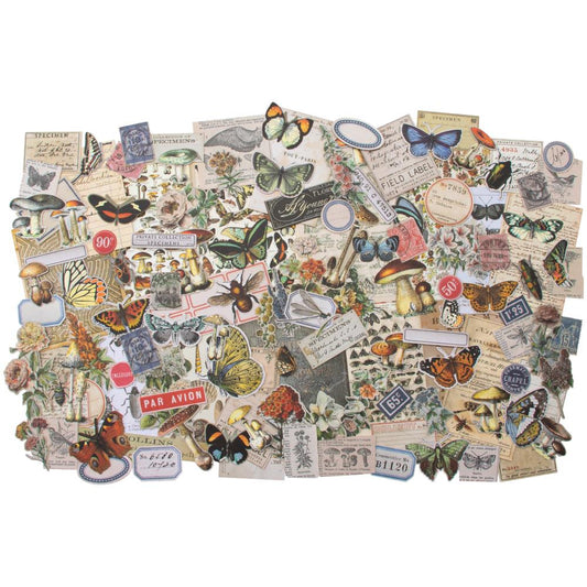 overview of all the beautiful pieces in the Tim Holtz IdeaOlogy ephemera paper collection of Field Notes
