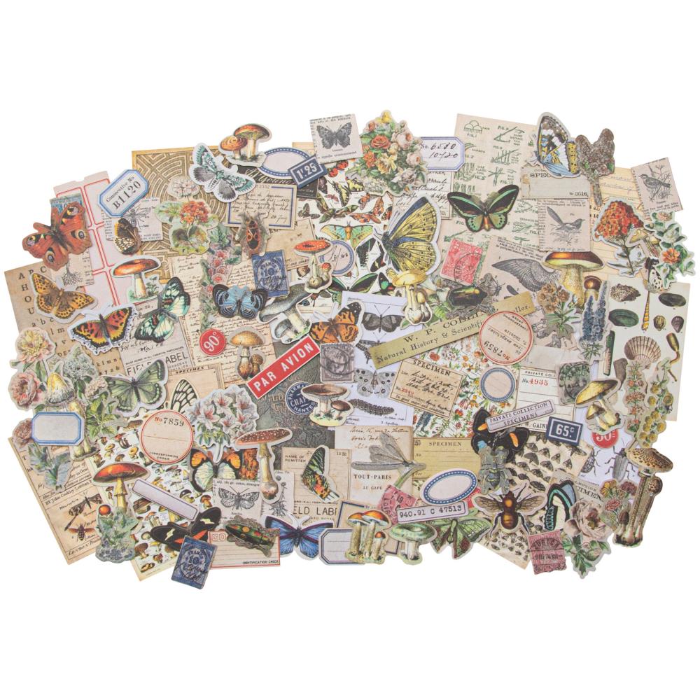 Field Notes Snippets - Idea-Ology Ephemera ... by Tim Holtz ... 134 really little gorgeous die cut, ready to use images for mixed media.
The perfect addition to all kinds of arts and crafts including scrapbook pages, tags, art journaling, greeting cards, ATCs (artist trading cards), using as a bookmark. They're so beautiful you'll want to use them everywhere!