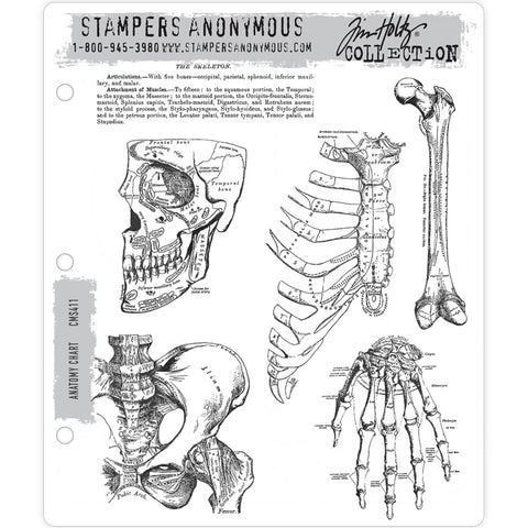 Anatomy ... 6 (six) rubber stamps by Tim Holtz and Stampers Anonymous (CMS411).   The designs in this set include bones, skull, hip bone, hand, chest and a paragraph of typed text.