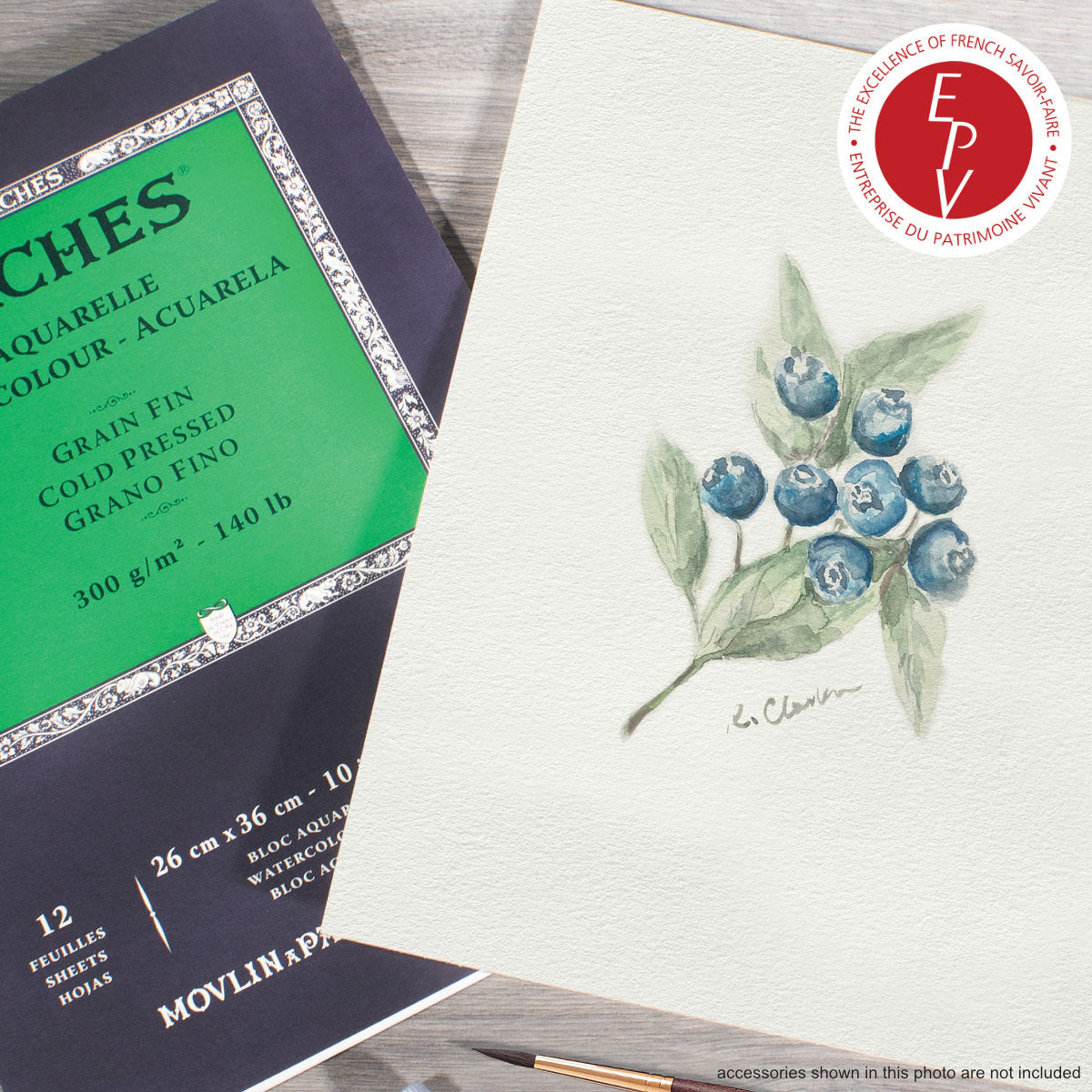 an example from Arches - featuring watercolour painted foliage and berries over the background of the Cold Pressed Watercolour Paper, Textured Natural White ... by Arches - pad of 100% cotton, aquarelle (watercolour), natural white (warm white), 140lb (300gsm) paper, bound along the top short edge. Size : 9" x 12" (23cm x 31cm). 12 (twelve) sheets of beautifully textured excellent quality substrate for creativity and visual arts.