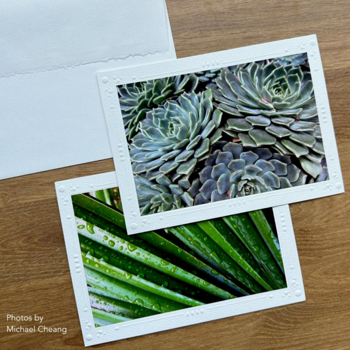 Photo Mount Cards by Strathmore - 6 blank cards with embossed decorative border, 6 envelopes with deckled edged flap, made of medium weight 80lb (216 gsm) white lightly textured cardstock, folded, ready to use. Images showing an example of use and close look at the embossed design and envelope deckle edge, with photos by Michael Cheang, borrowed from Strathmore.