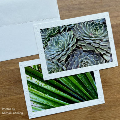 Photo Mount Cards by Strathmore - 6 blank cards with embossed decorative border, 6 envelopes with deckled edged flap, made of medium weight 80lb (216 gsm) white lightly textured cardstock, folded, ready to use. Images showing an example of use and close look at the embossed design and envelope deckle edge, with photos by Michael Cheang, borrowed from Strathmore.
