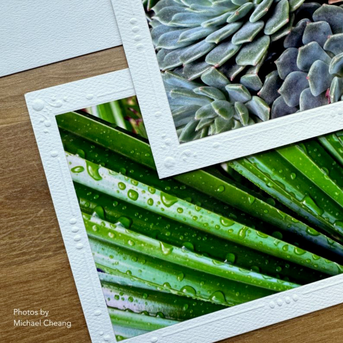 Photo Mount Cards by Strathmore - 6 blank cards with embossed decorative border, 6 envelopes with deckled edged flap, made of medium weight 80lb (216 gsm) white lightly textured cardstock, folded, ready to use. Images showing an example of use and close look at the embossed design, with photos by Michael Cheang, borrowed from Strathmore.