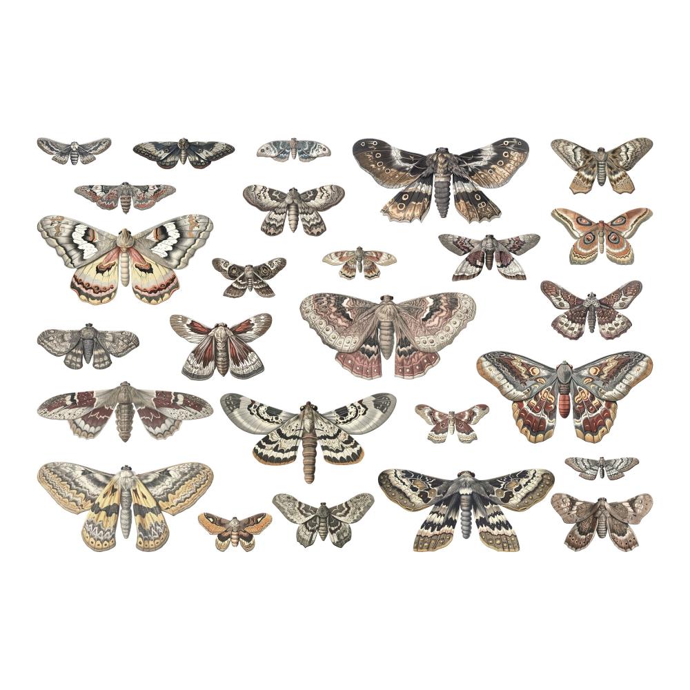 Transparent Moths - Idea-Ology Layers by Tim Holtz ... pieces of clear acetate printed with beautiful realistic moths to use as embellishments for decorations, mixed media, cardmaking, papercraft, scrapbooking and visual arts. 26 (twenty six) pieces in a variety of species and sizes. TH94403.  This is a stunning collection of moths with wings outstretched showing all their amazing wing patterns. 