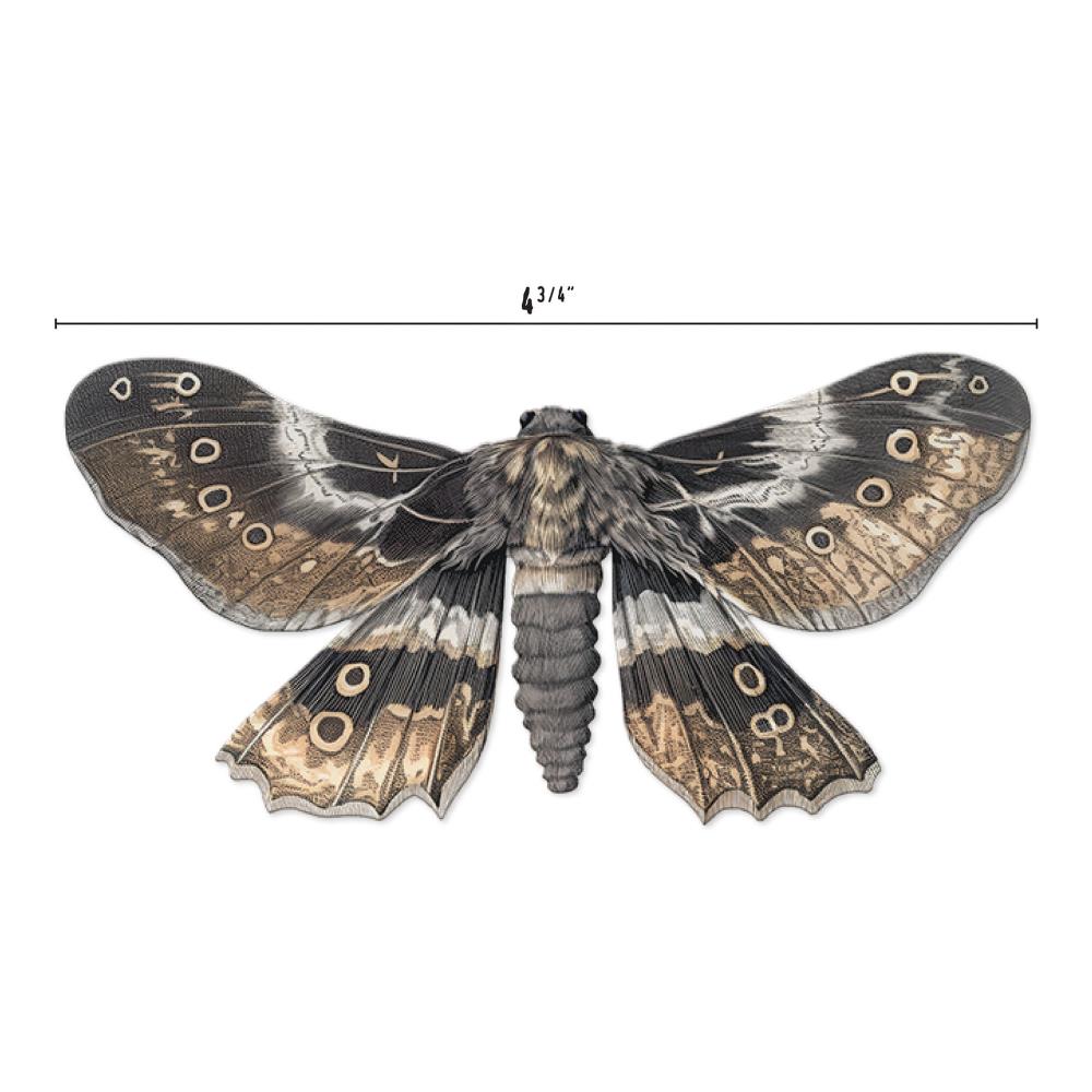 Transparent Moths - Idea-Ology Layers by Tim Holtz ... pieces of clear acetate printed with beautiful realistic moths to use as embellishments for decorations, mixed media, cardmaking, papercraft, scrapbooking and visual arts. 26 (twenty six) pieces in a variety of species and sizes. TH94403.  This is a stunning collection of moths with wings outstretched showing all their amazing wing patterns. Wingspan size.