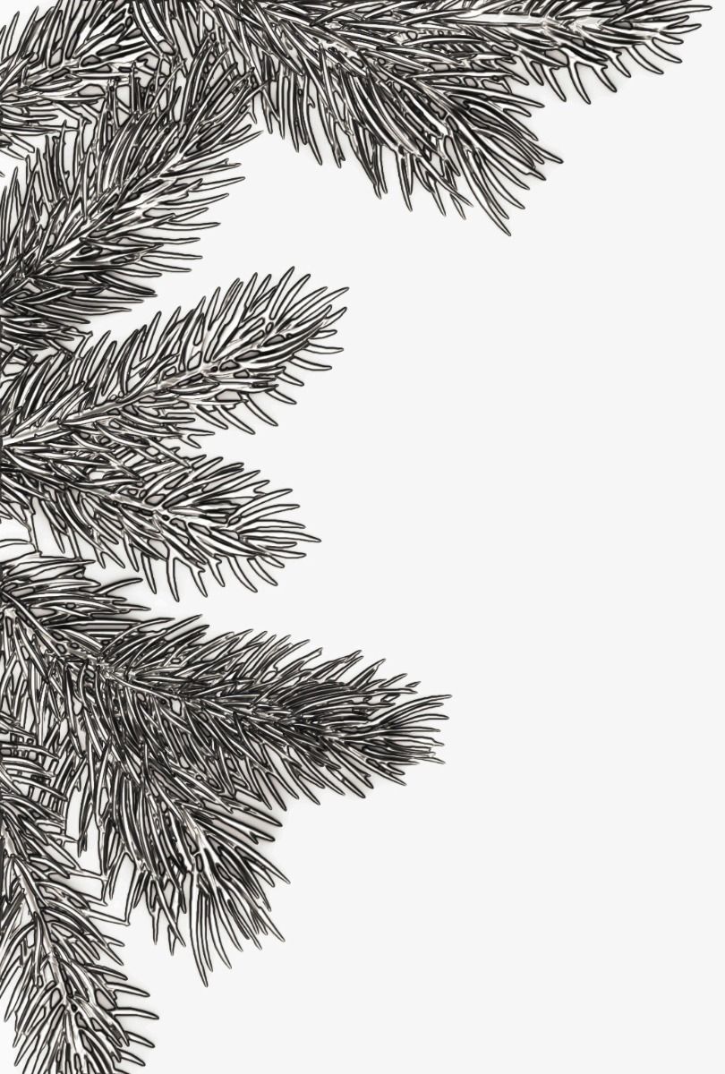 Pine Branches - 3D Texture Fades Embossing Folder ... by Tim Holtz and Sizzix (no.666048). Another amazing design from Tim, perfect for cards, journal pages, bookmaking, book covers, papercrafts and visual arts.

This A6 sized embossing folder with a layered, dimensional realistic pine tree tips (fronds, foliage, leaves, branch) growing in from the right hand side of the embossing folder. This versatile design will inspire you to create cards, tags, pockets for pages, layers of wonderful texture.