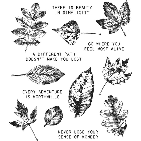 Nature's Wonder ... Cling Rubber Stamp Set by Tim Holtz