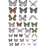 overview of Transparent Acetate Wings ... by Tim Holtz (Idea-Ology) - Die Cut Acetate Ephemera for Papercrafts - Colourful Pack of wings for Butterflies, Fairies, Dragonflies and other winged creatures.