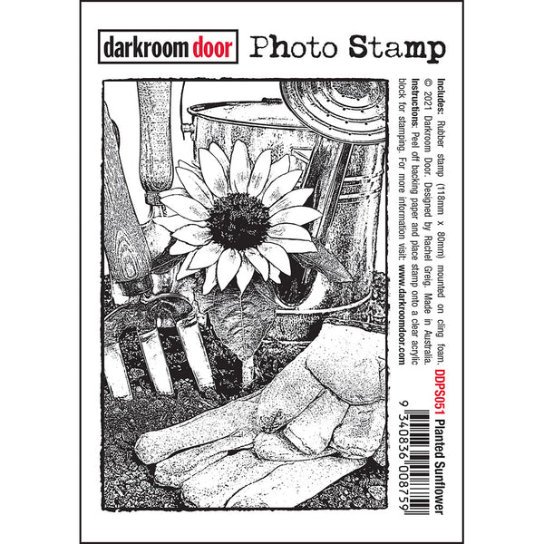 Planted Sunflower - Photo Stamp ... cling rubber stamp by Darkroom Door (DDPS051)