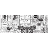 Entomology - Idea-Ology Collage Tissue Paper by Tim Holtz