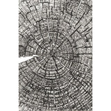 Tree Rings - 3D Texture Fades Embossing Folder ... by Tim Holtz and Sizzix (no.666049).   This beautiful embossing folder design features the top view of an old tree stump showing the many rings and cracks, grown during its many years of being a tree. 