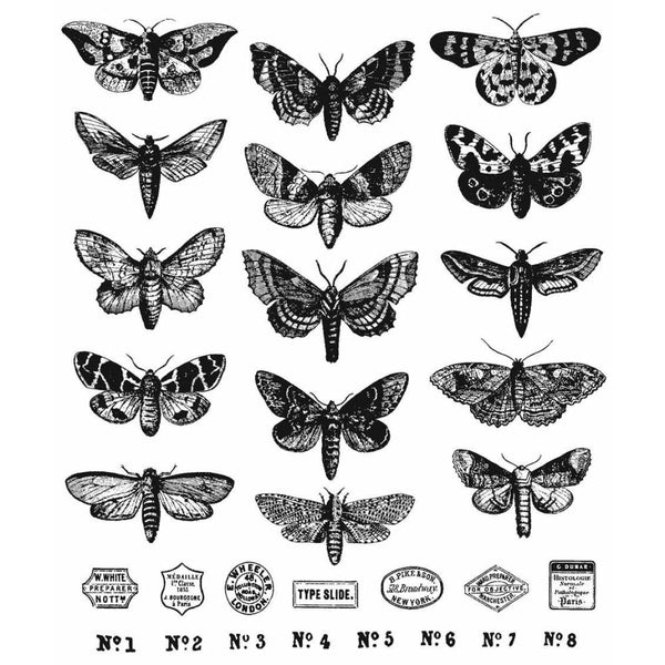 Moth Study ... 30 (thirty) rubber stamps by Tim Holtz and Stampers Anonymous (CMS436).   This set includes 15 (fifteen) different species of beautiful moths with amazing details plus 7 (seven) little labels and 8 (eight) number captions for adding to cards, bottles, tins, anywhere :) Sizes (approx) : moths vary in size from 40mm to 50mm wide, 20mm to 30mm high. The labels are 13mm to 20mm wide. 