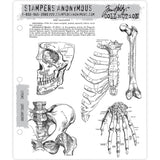 Anatomy ... 6 (six) rubber stamps by Tim Holtz and Stampers Anonymous (CMS411).   The designs in this set include bones, skull, hip bone, hand, chest and a paragraph of typed text.