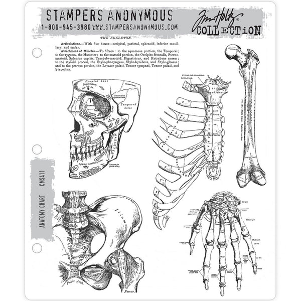 Anatomy ... 6 (six) rubber stamps by Tim Holtz and Stampers Anonymous (CMS411).   The designs in this set include bones, skull, hip bone, hand, chest and a paragraph of typed text.
